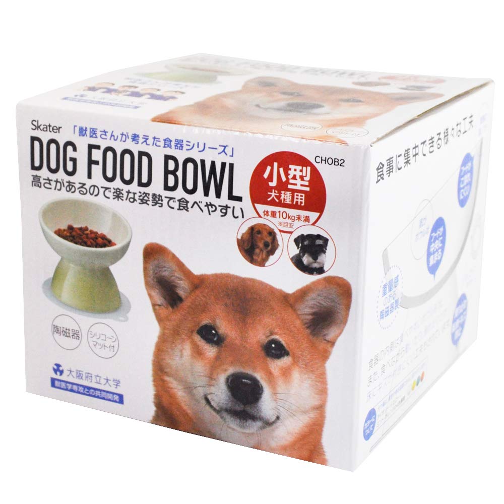 Skater Ceramic Small Dog Bowl with Mat Mint - Pet Feeder Chob2- Japan Figure Store - #1 Bring To You The Best Japanese Goods