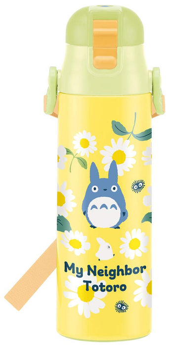Skater Totoro Daisy Ghibli 580ml Sports Direct Drinking Water Bottle