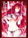 Bushiroad Sleeve Collection High Grade Rias Gremory High School D X D Japan- Japan Figure Store - #1 Bring To You The Best Japanese Goods