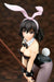 Quesq Himeragi Yukina Bunny Style 1/7 Scale Figure Strike The Blood Series- Japan Figure Store - #1 Bring To You The Best Japanese Goods