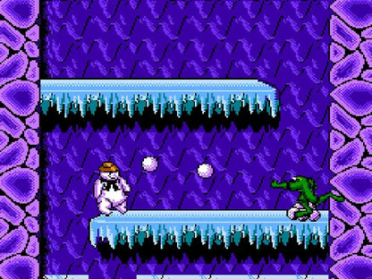 Columbus Circle (Fc/Fc Compatible Machine) Battletoads Video Games Made In Japan- Japan Figure Store - #1 Bring To You The Best Japanese Goods