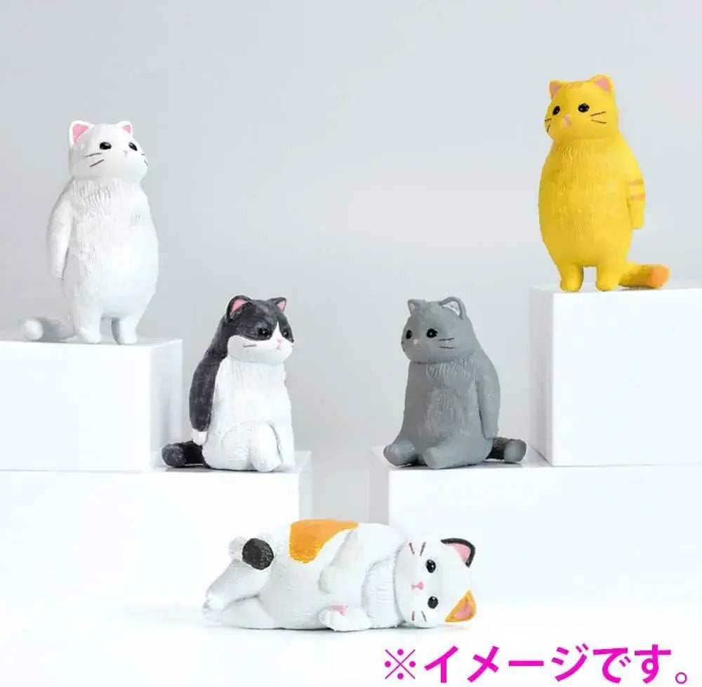 Aile Figure Blank Cat Box Pack of 1
