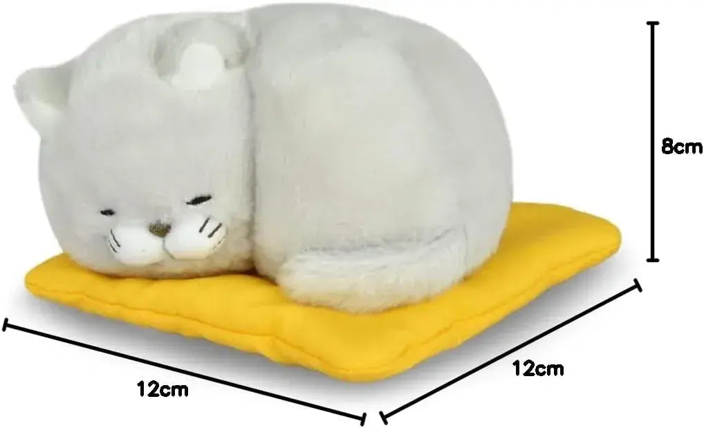 Amuse Bear Manju Zafu Sleeping ST Plush Toy