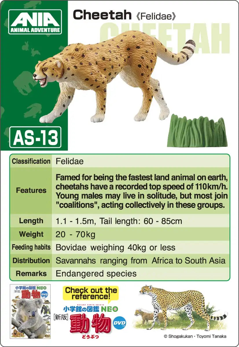 TAKARA TOMY As-13 Animal Adventure Cheetah Wild Version Figure- Japan Figure Store - #1 Bring To You The Best Japanese Goods