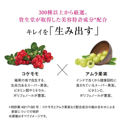 The Collagen Luxe Rich Tablet Supplement 21-Day Supply 126 Tablets- Japan Figure Store - #1 Bring To You The Best Japanese Goods