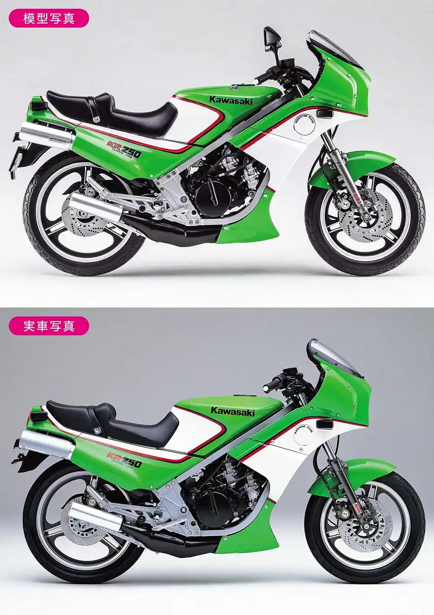Hasegawa 1/12 Kawasaki KR250 (Kr250A) Japanese Plastic Motorcycle Model Kit- Japan Figure Store - #1 Bring To You The Best Japanese Goods