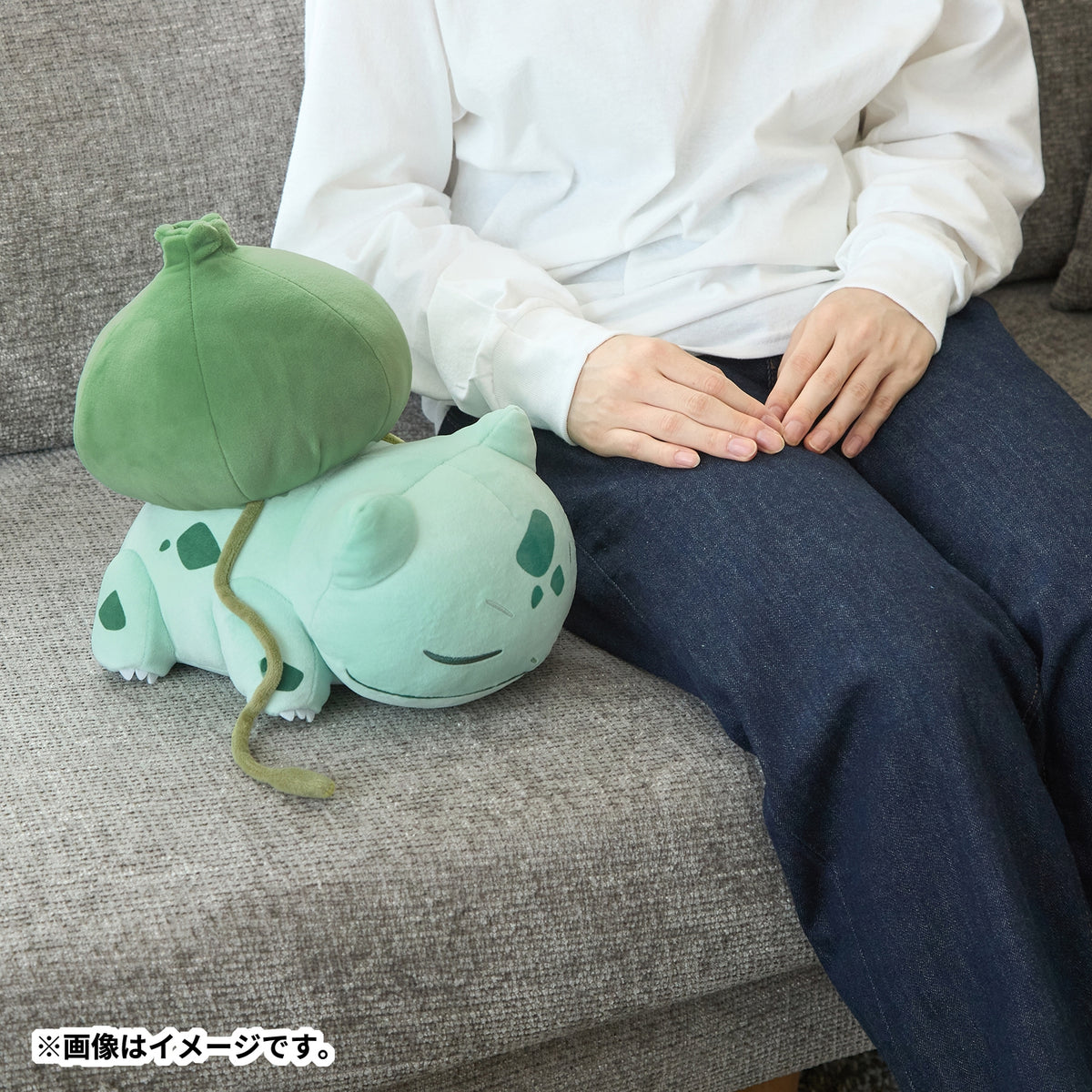 もっちりぬいぐるみ Pokémon Sleep おやすみフシギダネ