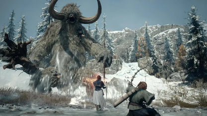 Capcom Dragons Dogma 2 Dark Arisen Switch2 Bonus Code