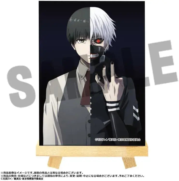 Colleize Tokyo Ghoul Mini Canvas Board 9 Pack Box
