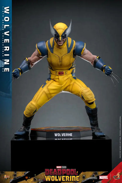 Hot Toys Movie Masterpiece Wolverine and Deadpool 1/6 Scale Figures