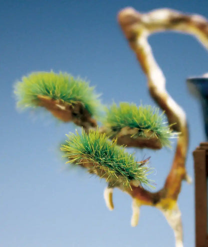 Platts 1/12 The Bonsai See Plastic Model Bon-03- Japan Figure Store - #1 Bring To You The Best Japanese Goods