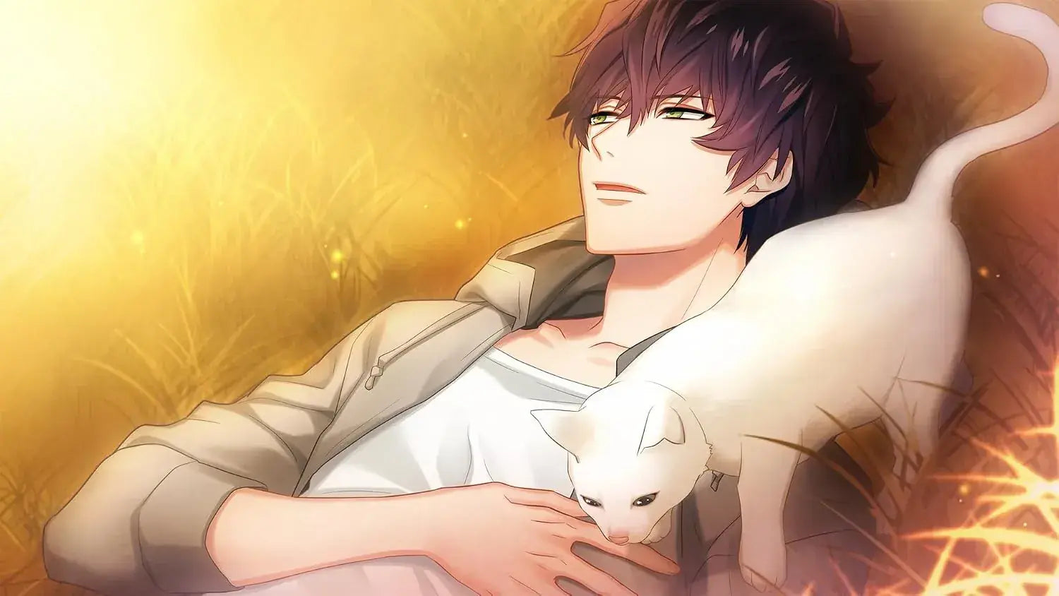 Dramatic Create DYNAMIC CHORD feat.Liar-S Remaster Edition Switch