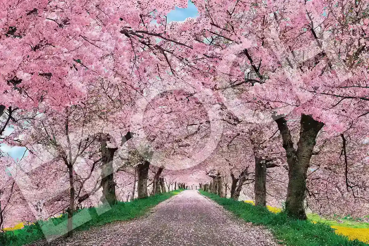 Epoch 1000-Piece Jigsaw Puzzle Japanese Landscape Cherry Blossoms 50X75Cm