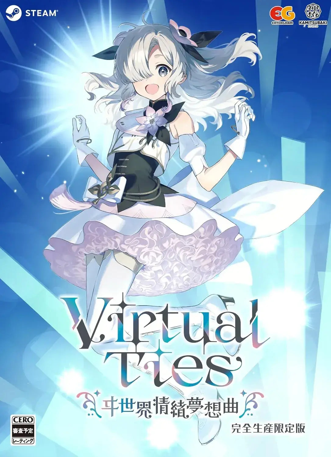 Entergram Virtual Ties Yui Sekai Jousei Mosoqu Switch Game - Steam Limited Edition - 4935066509869