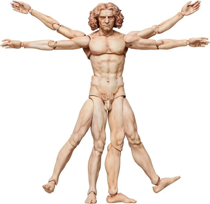 Freeing Vitruvian Human Body Figure PVC ABS Pre Painted