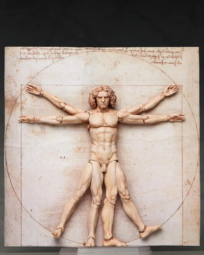 Freeing Vitruvian Human Body Figure PVC ABS Pre Painted