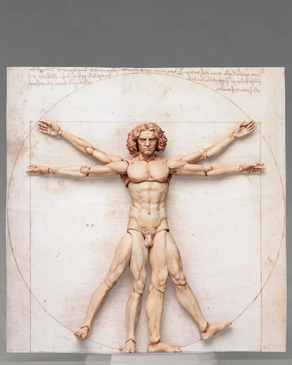 Freeing Vitruvian Human Body Figure PVC ABS Pre Painted