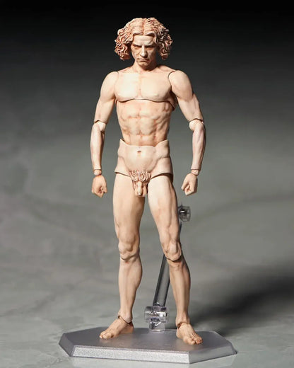 Freeing Vitruvian Human Body Figure PVC ABS Pre Painted