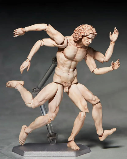 Freeing Vitruvian Human Body Figure PVC ABS Pre Painted