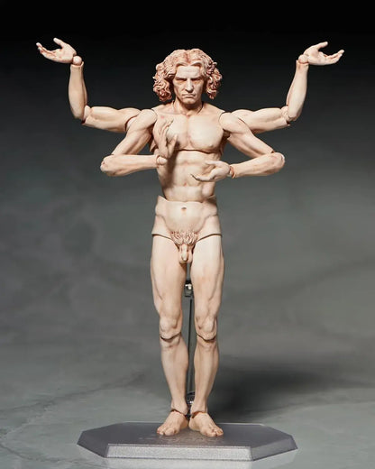 Freeing Vitruvian Human Body Figure PVC ABS Pre Painted