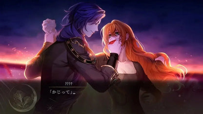 G Mode Witch and Ghost Volonte Nintendo Switch Game