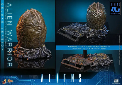 Hot Toys Alien Warrior 2 Deluxe Edition 1 6 Scale Figure