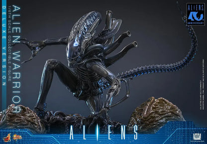 Hot Toys Alien Warrior 2 Deluxe Edition 1 6 Scale Figure