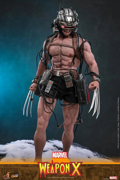 Hot Toys Marvel Comic Masterpiece Weapon X 1 6 Scale Figure