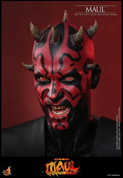 Hot Toys Star Wars Mall Shadow Road 16 Scale Figure