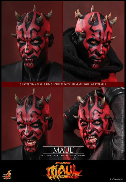 Hot Toys Star Wars Mall Shadow Road 16 Scale Figure