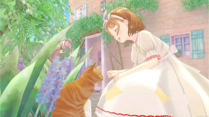 Imagineer Magical Craft Cat and Magic Dress Game