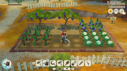 Marvelous Story of Seasons Grand Bazaar PS5 Game