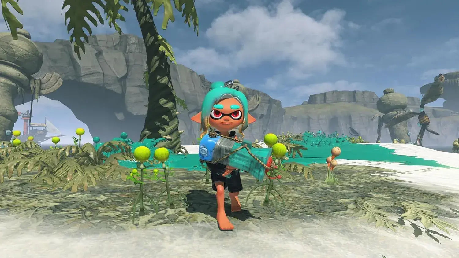 Nintendo Splatoon Raiders Video Game