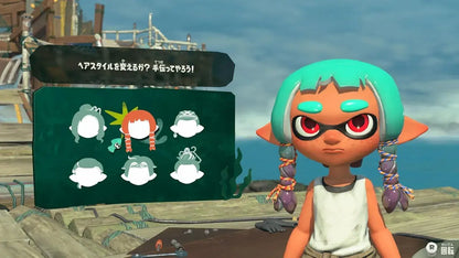 Nintendo Splatoon Raiders Video Game