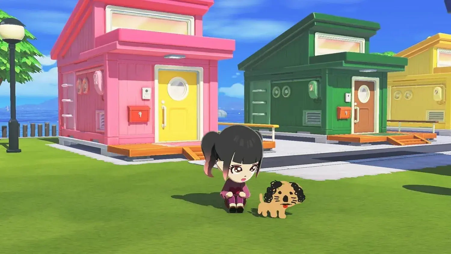 Nintendo Tomodachi Collection: Living the Dream Game Switch