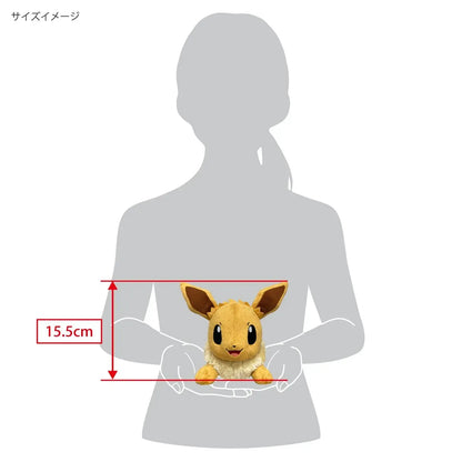 San Ying Pokemon Eevee All Star Collection Plush Small S
