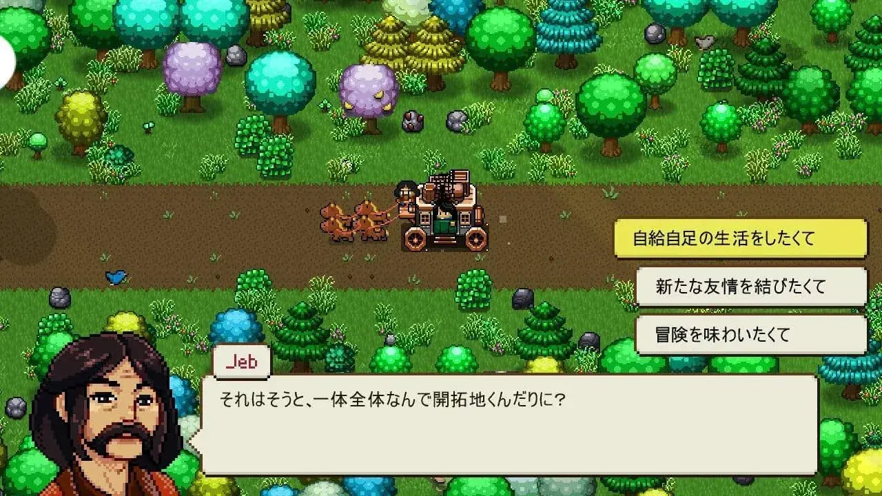 Soft Source Cattle Country Nintendo Switch Game