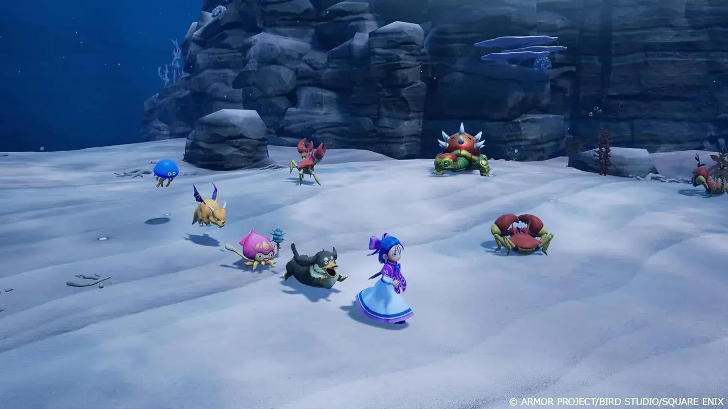 Square Enix Dragon Quest Monsters 4 Nintendo Switch Game