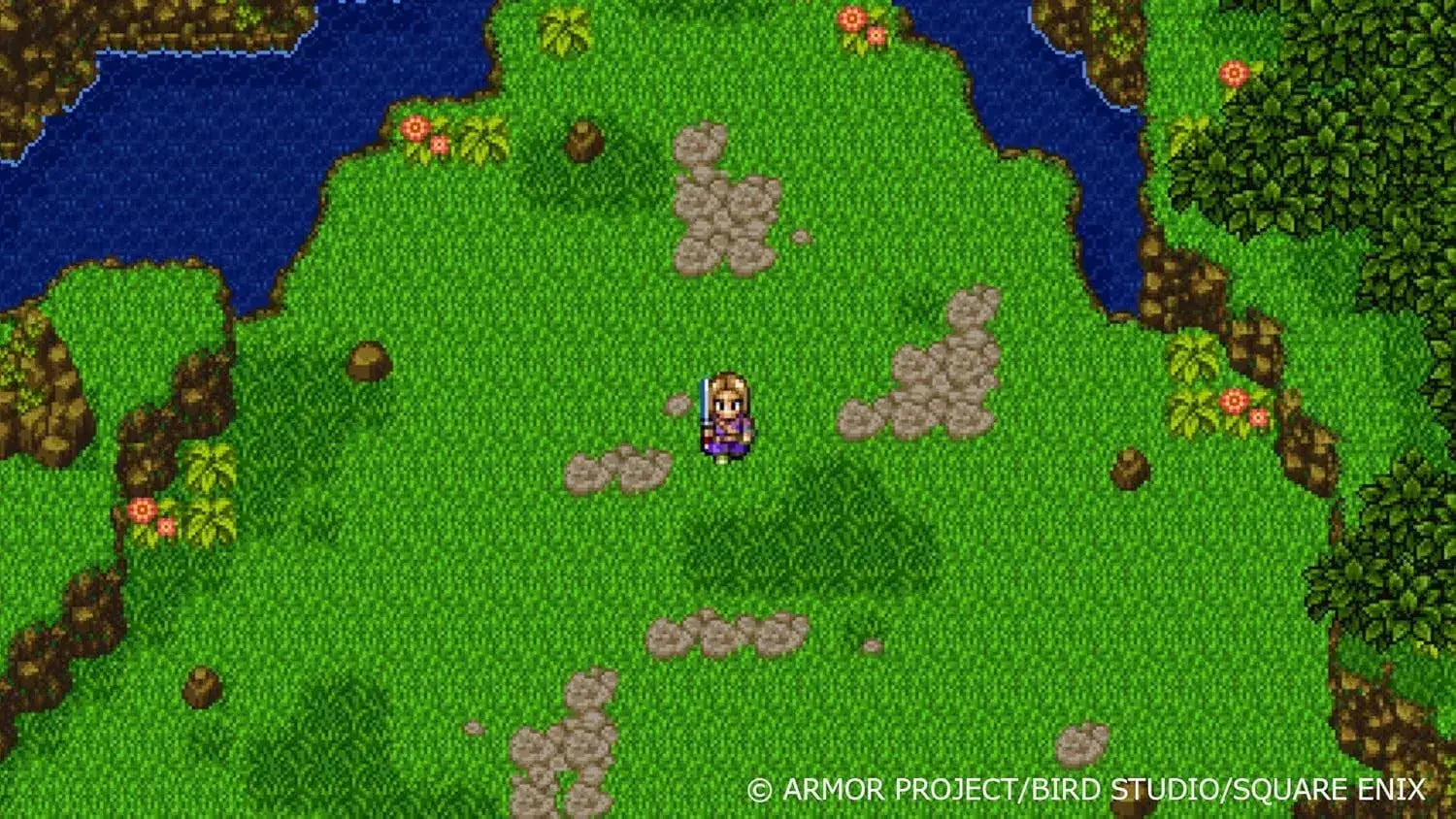 Square Enix Dragon Quest XI S Video Game