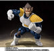 Tamashii Nations Dragon Ball Z Big Monkey Vegeta Action Figure