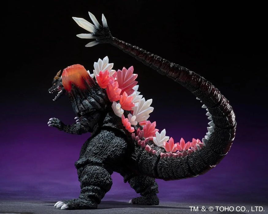 Tamashii Nations Godzilla vs Space Godzilla Fukuoka Final Battle Ver