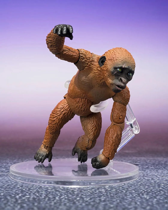 Tamashii Nations Godzilla x Kong New Empire S.H.Monster Figure 2024