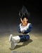 Tamashii Nations SH Figuarts Vegeta Former Combat Uniform Figure