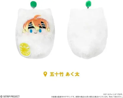 Tapioca 18TRIP Walnut Tabi Nui Vol 2 5 Pack Box