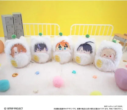 Tapioca 18TRIP Walnut Tabi Nui Vol 2 5 Pack Box