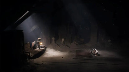 THQ Nordic REANIMAL PS5 Video Game
