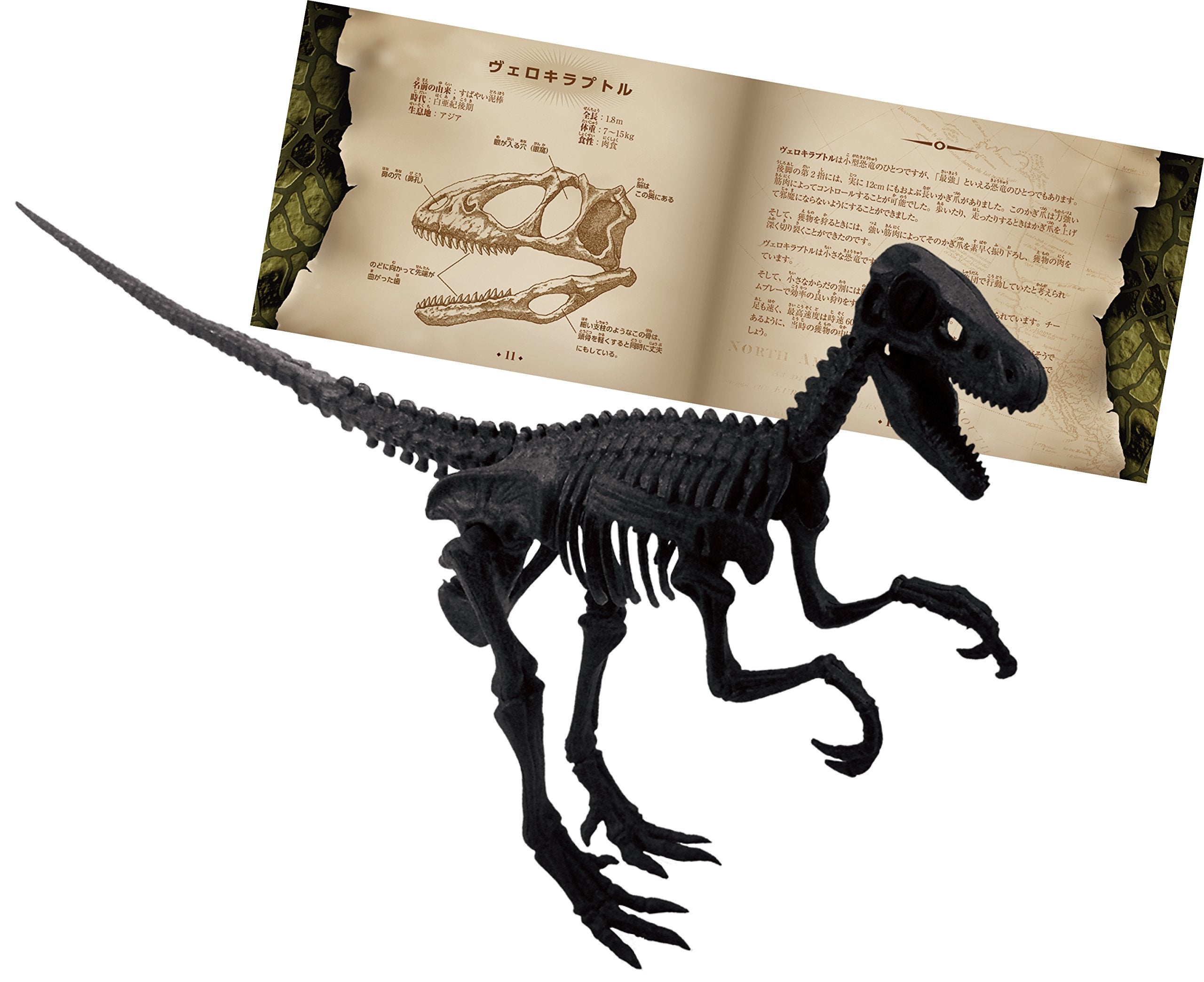 10-teiliges 3D-Dinosaurier-Puzzle Velociraptor