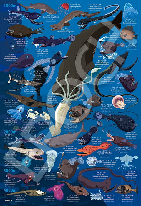 Puzzle 100 pièces Deep Sea Biological Encyclopedia Profondeur d'eau 1000M ~ 4000M Grande pièce (26 × 38Cm) 26-808