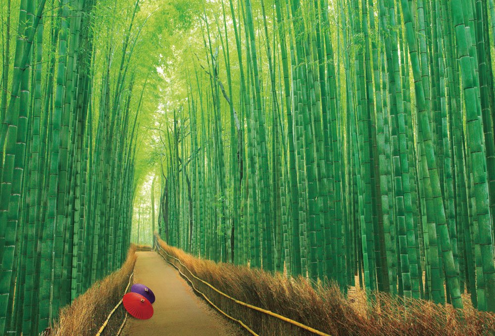 BEVERLY Jigsaw Puzzle 51-229 Japanese Scenery Bamboo Forest Sagano Kyoto 1000 Pieces