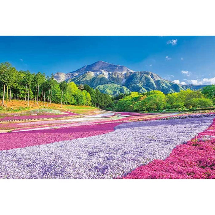1000 Piece Jigsaw Puzzle Spring Carpet Hitsujiyama Park (50 X 75 Cm)